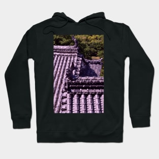 Himeji Castle Roofs, Japan Hoodie